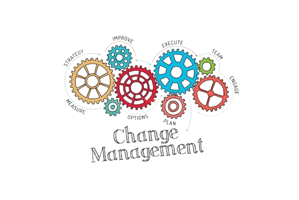 Management et conduite